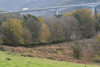 dsc_0294.jpg