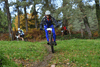 dsc_0310.jpg