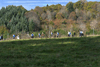 dsc_0373.jpg