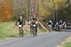 dsc_0392.jpg
