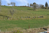 dsc_0458.jpg