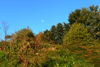 dsc_0052.jpg