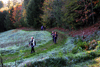 dsc_0076.jpg