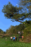 dsc_0160.jpg
