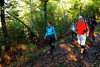 dsc_0178.jpg