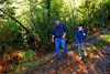 dsc_0184.jpg