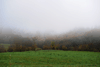dsc_0154.jpg