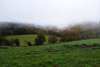dsc_0158.jpg