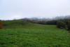 dsc_0159.jpg