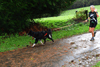 dsc_0183.jpg