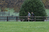 dsc_0196.jpg