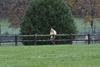 dsc_0202.jpg