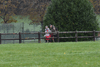 dsc_0203.jpg