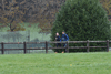 dsc_0207.jpg