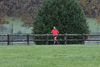 dsc_0214.jpg