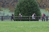 dsc_0226.jpg