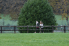 dsc_0229.jpg