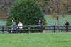 dsc_0231.jpg