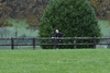 dsc_0233.jpg