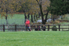dsc_0234.jpg