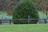 dsc_0236.jpg