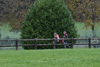 dsc_0239.jpg