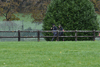 dsc_0240.jpg