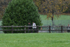 dsc_0241.jpg