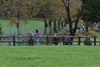 dsc_0242.jpg