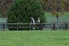 dsc_0246.jpg