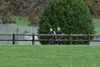dsc_0248.jpg