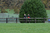 dsc_0249.jpg