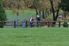 dsc_0250.jpg