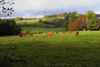dsc_0256.jpg