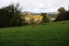 dsc_0261.jpg