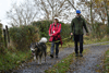 dsc_0277.jpg