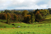 dsc_0285.jpg