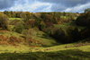 dsc_0286.jpg