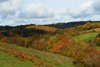 dsc_0302.jpg