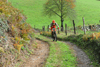 dsc_0312.jpg