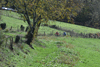 dsc_0315.jpg