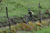 dsc_0321.jpg