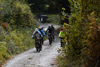 dsc_0343.jpg