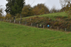dsc_0361.jpg
