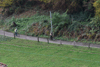 dsc_0365.jpg