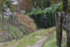 dsc_0395.jpg